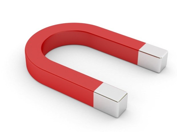 magnet